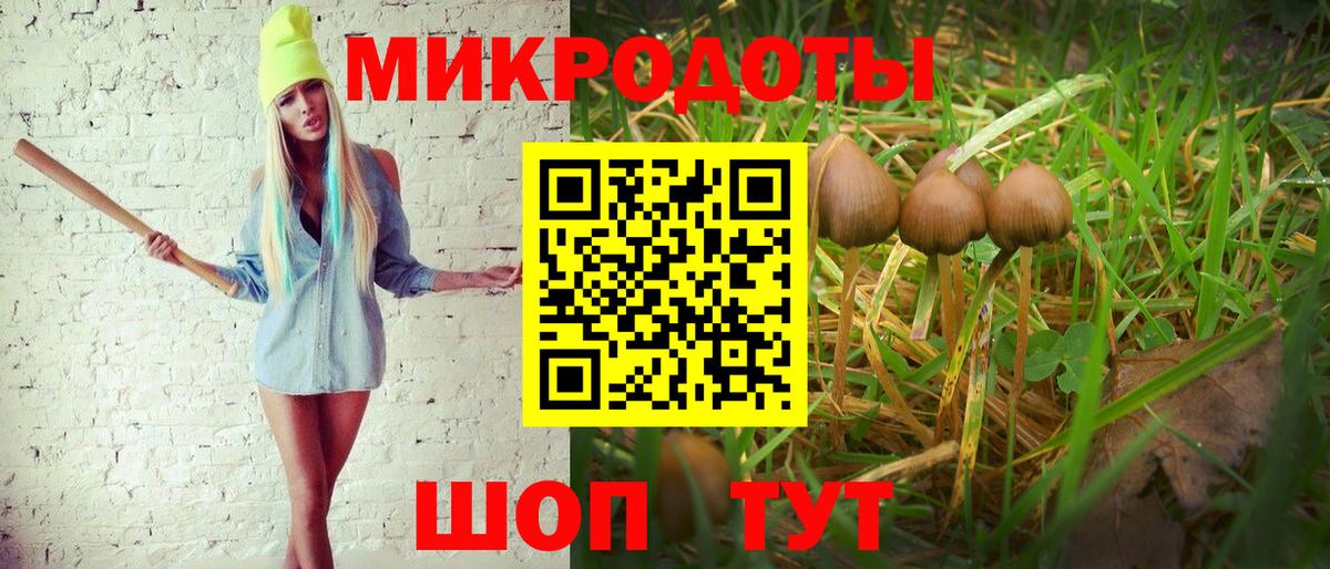 Галлюциногенные грибы Psilocybine cubensis Тосно
