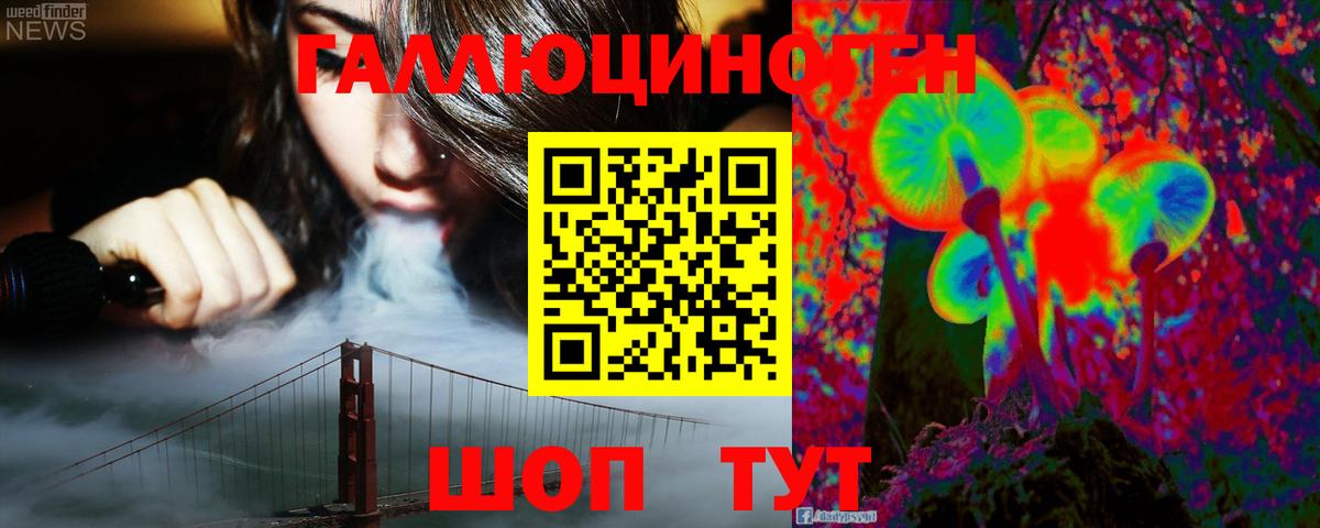 Тосно  Галлюциногенные грибы MAGIC MUSHROOMS  Вход с VPN  Псилоцибиновые грибы прущие грибы 